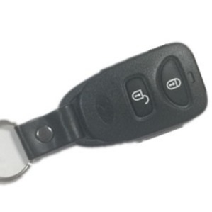 315MHz van de de Knooppaniek van Hyundai de Zeer belangrijke FOB 2 Verre Auto van Santa Fe Accent plnhm-T00